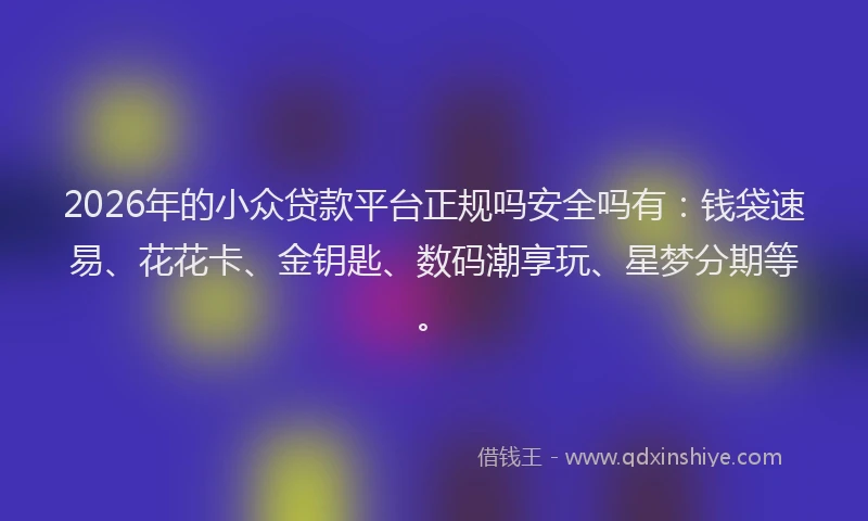 2026年的小众贷款平台正规吗安全吗有：钱袋速易、花花卡、金钥匙、数码潮享玩、星梦分期等。