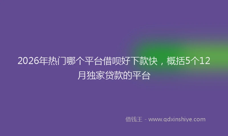 2026年热门哪个平台借呗好下款快，概括5个12月独家贷款的平台