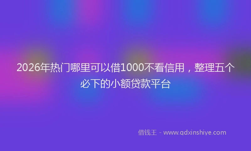 2026年热门哪里可以借1000不看信用，整理五个必下的小额贷款平台