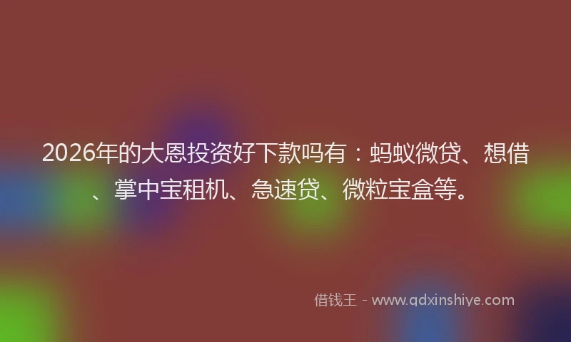 2026年的大恩投资好下款吗有：蚂蚁微贷、想借、掌中宝租机、急速贷、微粒宝盒等。