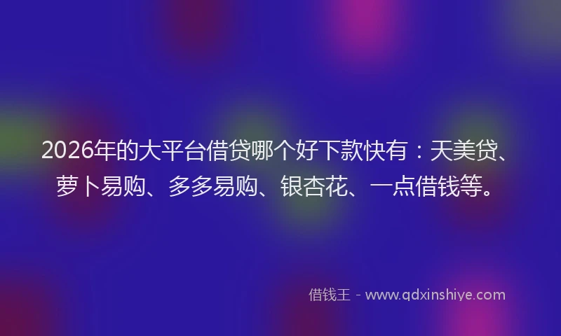 2026年的大平台借贷哪个好下款快有：天美贷、萝卜易购、多多易购、银杏花、一点借钱等。