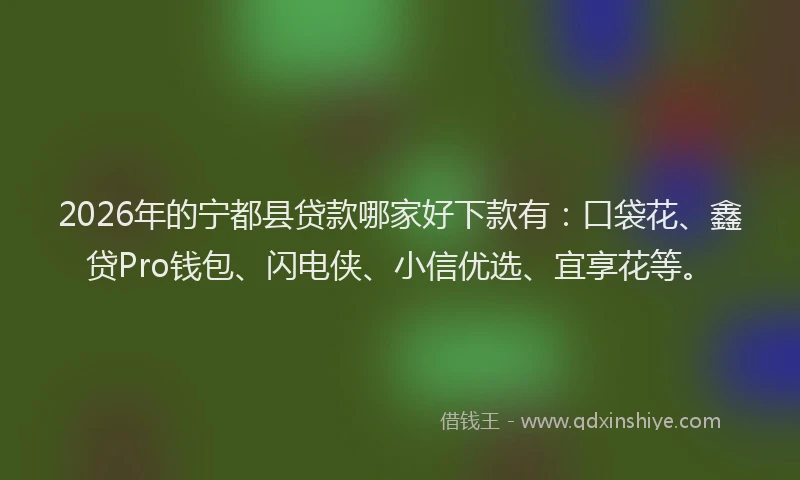 2026年的宁都县贷款哪家好下款有：口袋花、鑫贷Pro钱包、闪电侠、小信优选、宜享花等。