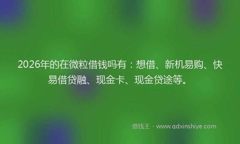 2026年的在微粒借钱吗有：想借、新机易购、快易借贷融、现金卡、现金贷途等。