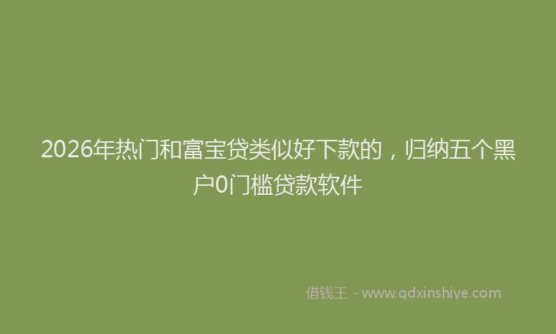 2026年热门和富宝贷类似好下款的，归纳五个黑户0门槛贷款软件