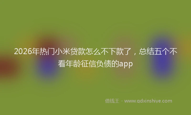 2026年热门小米贷款怎么不下款了，总结五个不看年龄征信负债的app