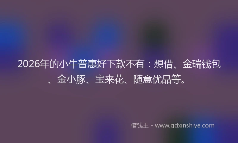 2026年的小牛普惠好下款不有：想借、金瑞钱包、金小豚、宝来花、随意优品等。