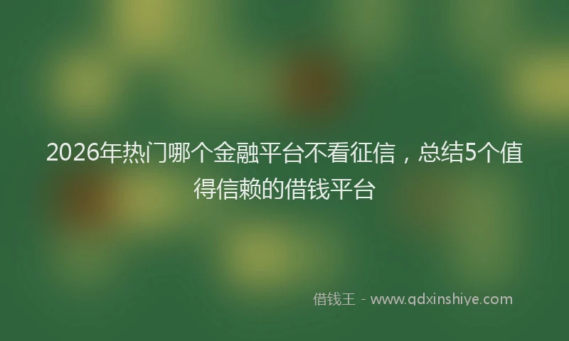 2026年热门哪个金融平台不看征信，总结5个值得信赖的借钱平台