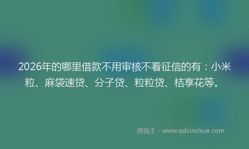 2026年的哪里借款不用审核不看征信的有：小米粒、麻袋速贷、分子贷、粒粒贷、桔享花等。