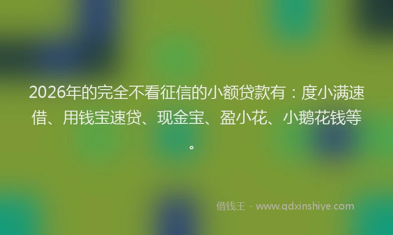 2026年的完全不看征信的小额贷款有：度小满速借、用钱宝速贷、现金宝、盈小花、小鹅花钱等。