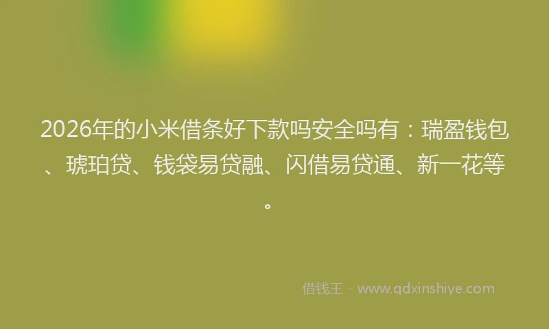 2026年的小米借条好下款吗安全吗有：瑞盈钱包、琥珀贷、钱袋易贷融、闪借易贷通、新一花等。