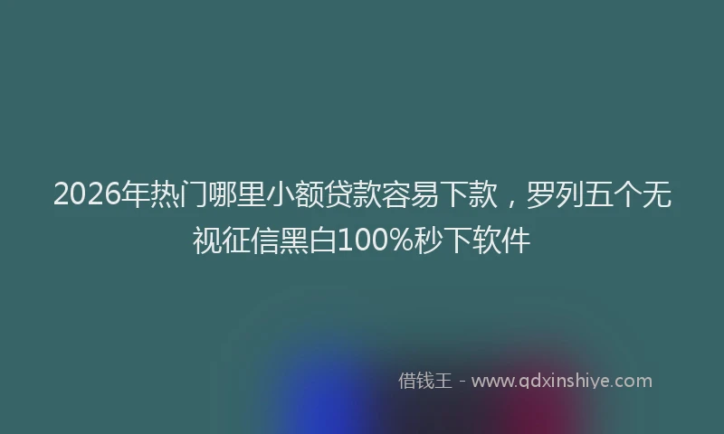 2026年热门哪里小额贷款容易下款，罗列五个无视征信黑白100%秒下软件