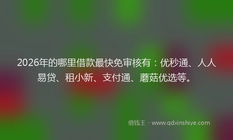 2026年的哪里借款最快免审核有：优秒通、人人易贷、租小新、支付通、蘑菇优选等。