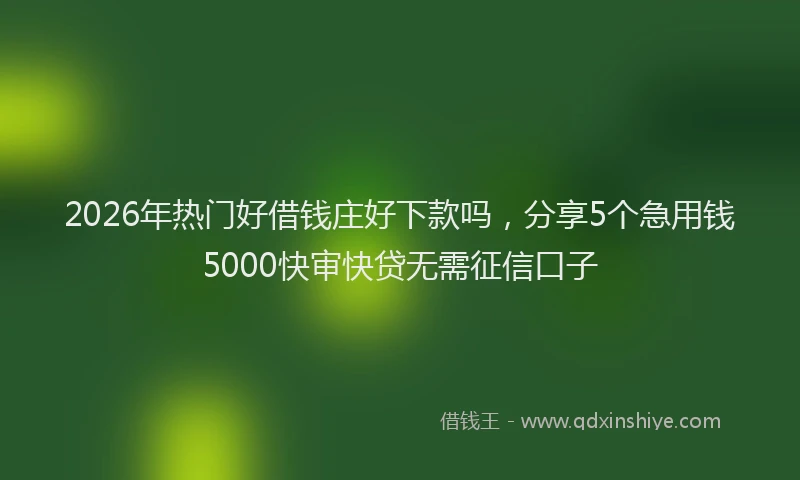 2026年热门好借钱庄好下款吗，分享5个急用钱5000快审快贷无需征信口子