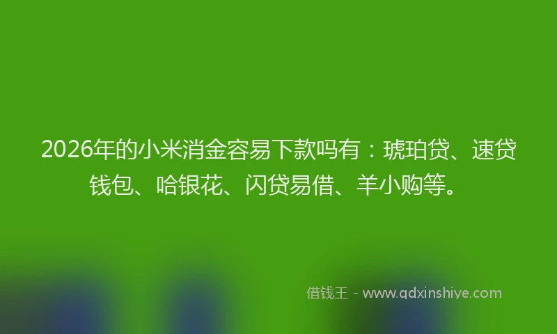 2026年的小米消金容易下款吗有:琥珀贷、速贷钱包、哈银花、闪贷易借、羊小购等。