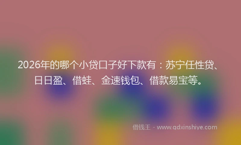 2026年的哪个小贷口子好下款有：苏宁任性贷、日日盈、借蛙、金速钱包、借款易宝等。
