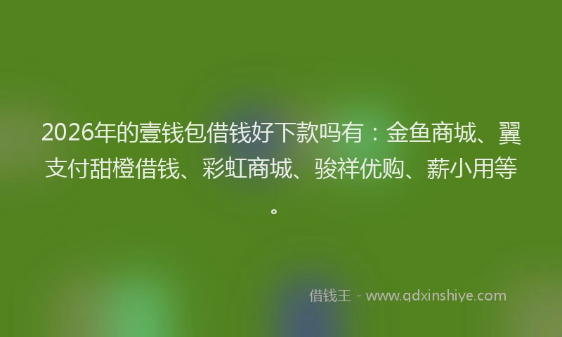 2026年的壹钱包借钱好下款吗有：金鱼商城、翼支付甜橙借钱、彩虹商城、骏祥优购、薪小用等。