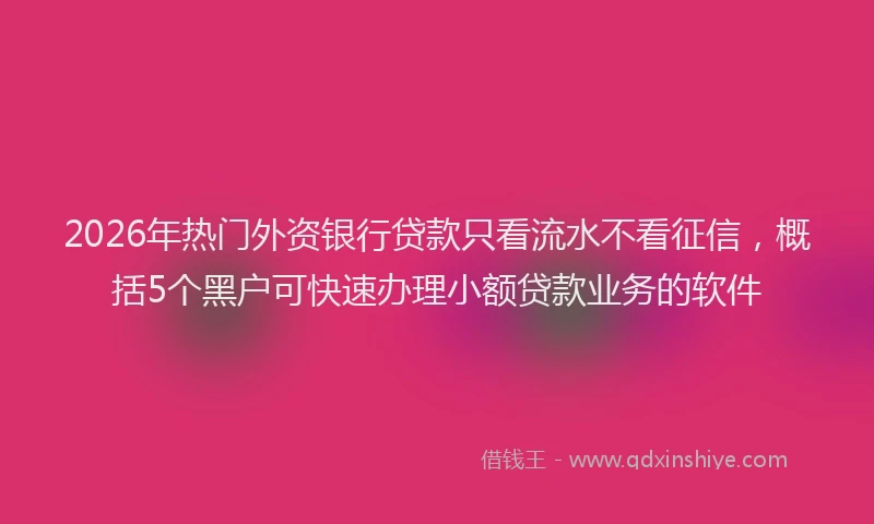 2026年热门外资银行贷款只看流水不看征信，概括5个黑户可快速办理小额贷款业务的软件