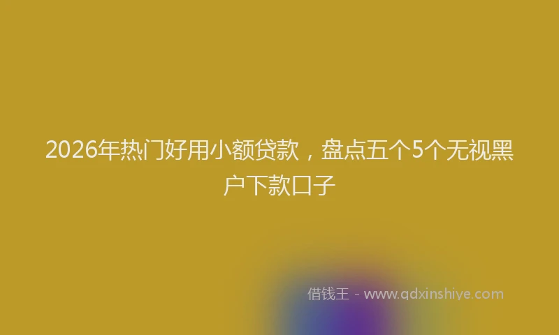 2026年热门好用小额贷款，盘点五个5个无视黑户下款口子