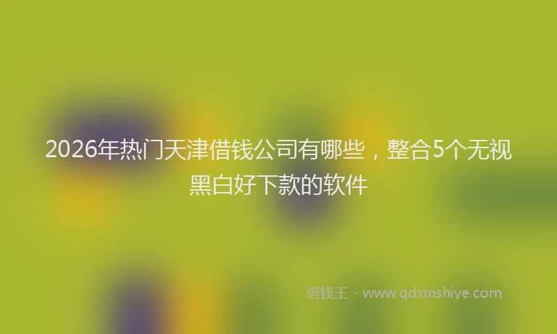 2026年热门天津借钱公司有哪些，整合5个无视黑白好下款的软件