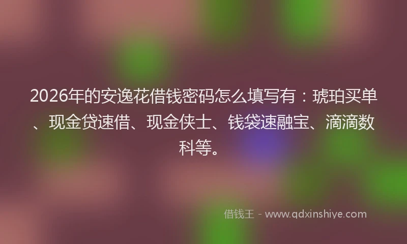 2026年的安逸花借钱密码怎么填写有：琥珀买单、现金贷速借、现金侠士、钱袋速融宝、滴滴数科等。