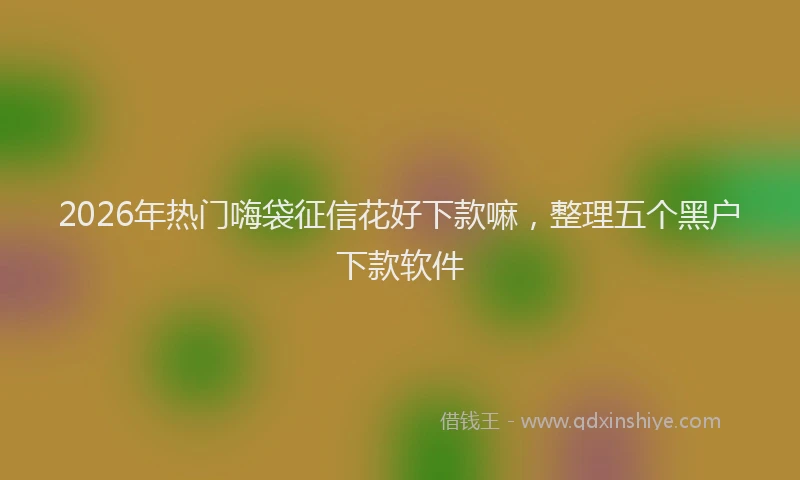 2026年热门嗨袋征信花好下款嘛，整理五个黑户下款软件