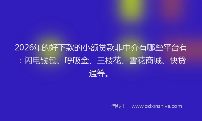 2026年的好下款的小额贷款非中介有哪些平台有：闪电钱包、呼吸金、三枝花、雪花商城、快贷通等。