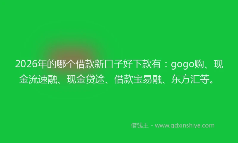 2026年的哪个借款新口子好下款有：gogo购、现金流速融、现金贷途、借款宝易融、东方汇等。