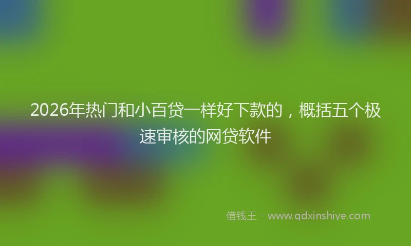 2026年热门和小百贷一样好下款的，概括五个极速审核的网贷软件