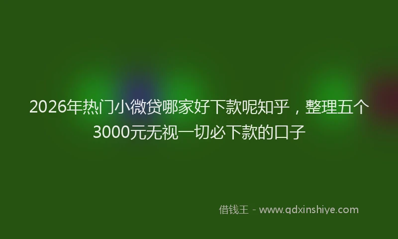 2026年热门小微贷哪家好下款呢知乎，整理五个3000元无视一切必下款的口子