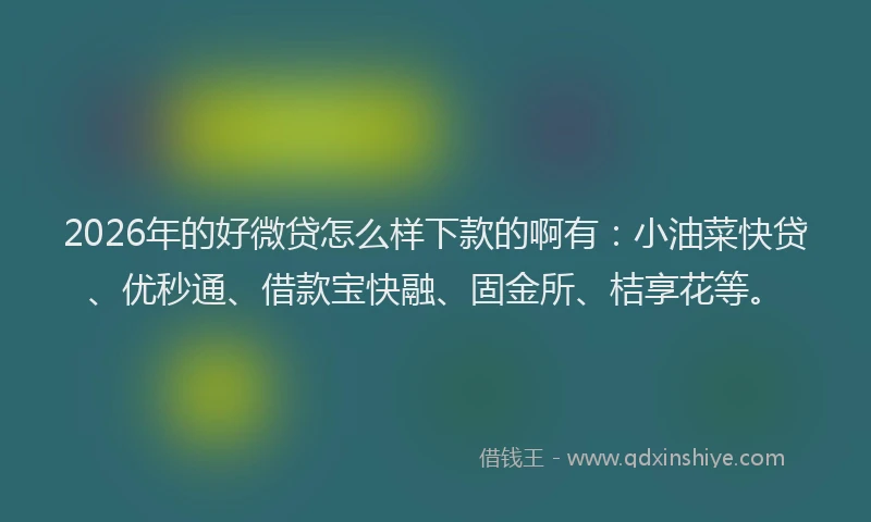 2026年的好微贷怎么样下款的啊有:小油菜快贷、优秒通、借款宝快融、固金所、桔享花等。