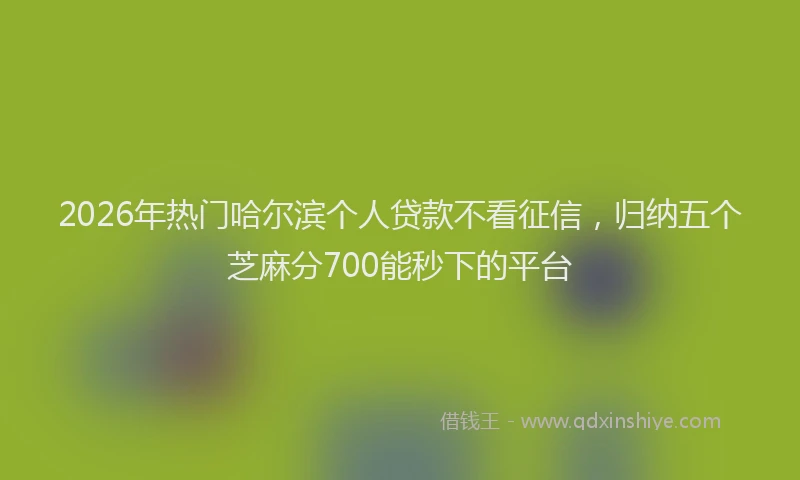 2026年热门哈尔滨个人贷款不看征信，归纳五个芝麻分700能秒下的平台