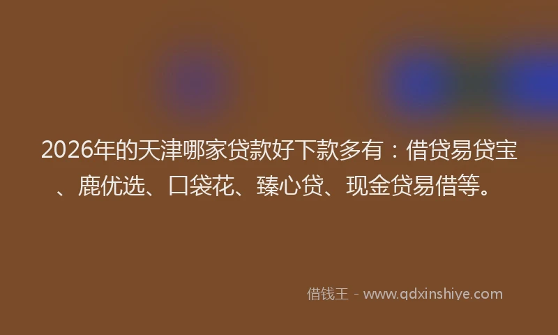 2026年的天津哪家贷款好下款多有：借贷易贷宝、鹿优选、口袋花、臻心贷、现金贷易借等。