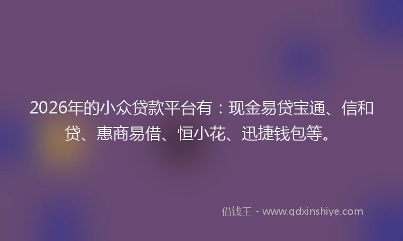 2026年的小众贷款平台有：现金易贷宝通、信和贷、惠商易借、恒小花、迅捷钱包等。