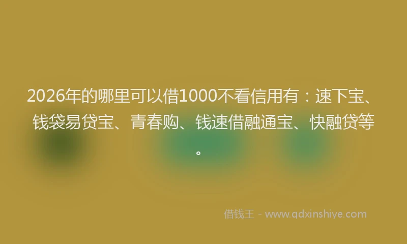 2026年的哪里可以借1000不看信用有：速下宝、钱袋易贷宝、青春购、钱速借融通宝、快融贷等。