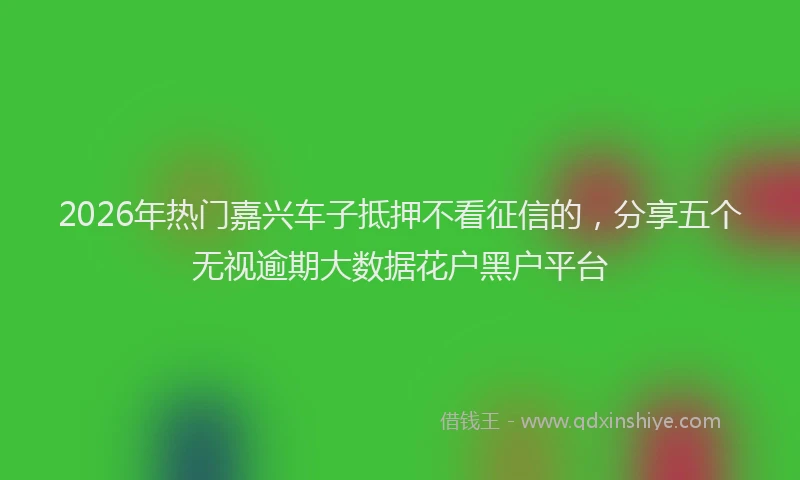 2026年热门嘉兴车子抵押不看征信的，分享五个无视逾期大数据花户黑户平台