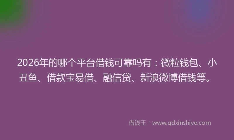 2026年的哪个平台借钱可靠吗有：微粒钱包、小丑鱼、借款宝易借、融信贷、新浪微博借钱等。