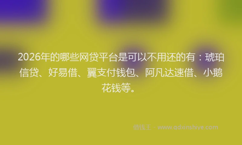 2026年的哪些网贷平台是可以不用还的有：琥珀信贷、好易借、翼支付钱包、阿凡达速借、小鹅花钱等。