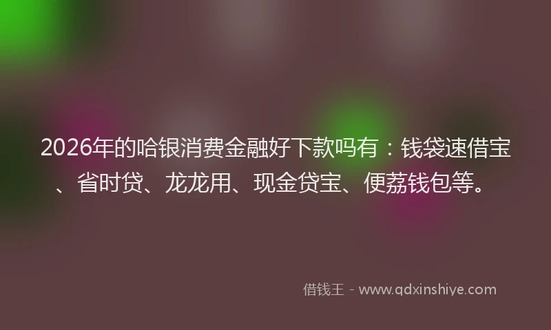 2026年的哈银消费金融好下款吗有：钱袋速借宝、省时贷、龙龙用、现金贷宝、便荔钱包等。