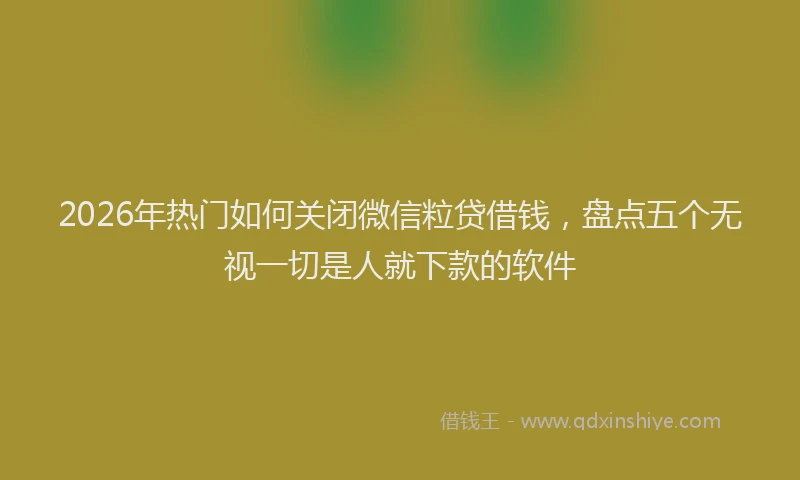 2026年热门如何关闭微信粒贷借钱，盘点五个无视一切是人就下款的软件
