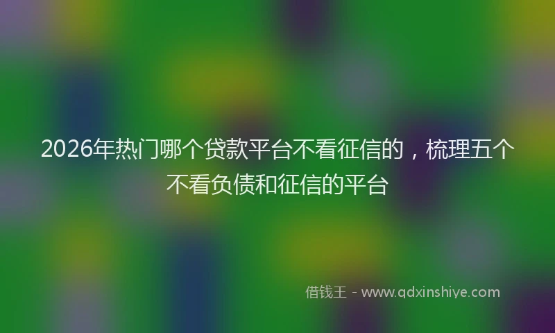 2026年热门哪个贷款平台不看征信的，梳理五个不看负债和征信的平台