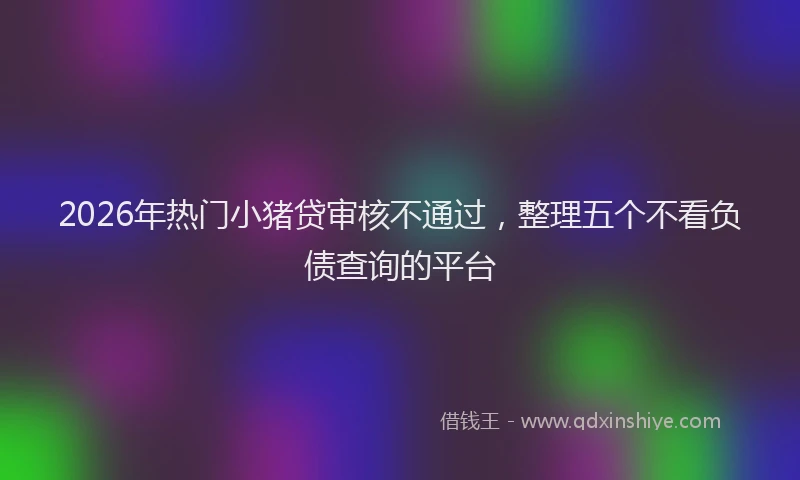 2026年热门小猪贷审核不通过，整理五个不看负债查询的平台