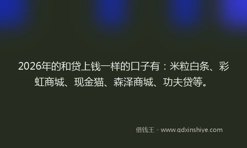 2026年的和贷上钱一样的口子有：米粒白条、彩虹商城、现金猫、森泽商城、功夫贷等。