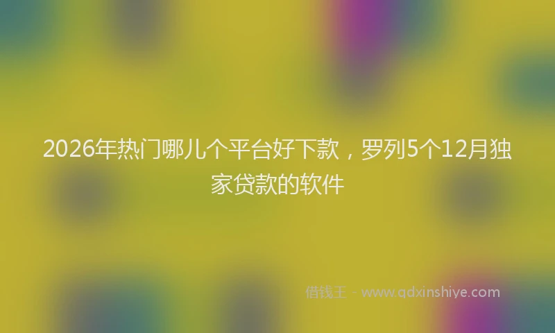 2026年热门哪儿个平台好下款，罗列5个12月独家贷款的软件