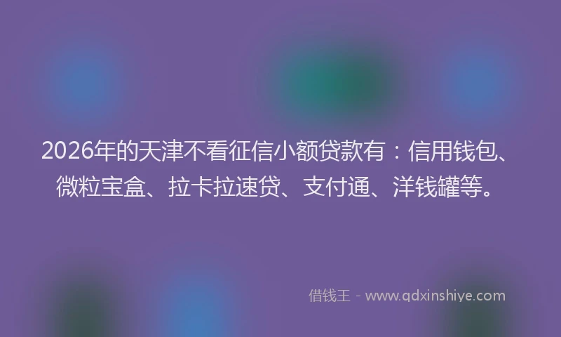 2026年的天津不看征信小额贷款有：信用钱包、微粒宝盒、拉卡拉速贷、支付通、洋钱罐等。