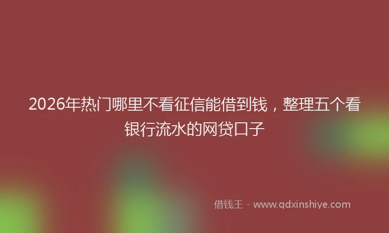 2026年热门哪里不看征信能借到钱，整理五个看银行流水的网贷口子