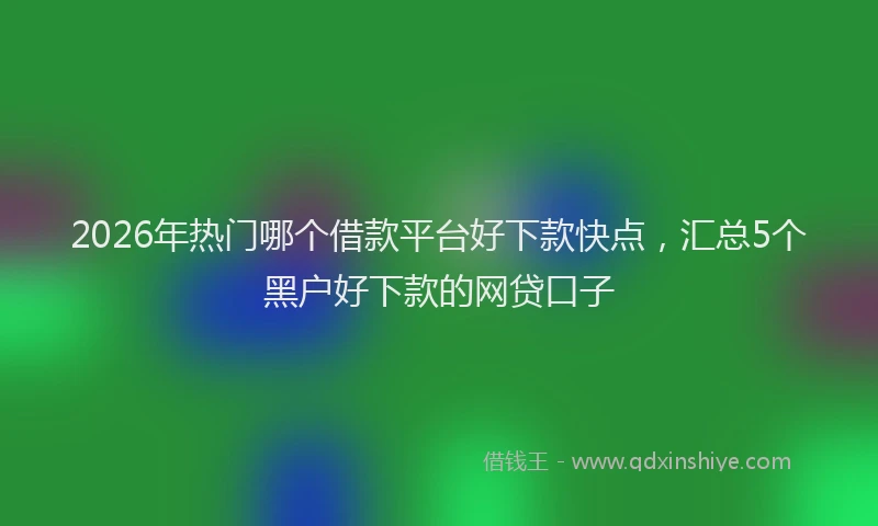 2026年热门哪个借款平台好下款快点，汇总5个黑户好下款的网贷口子