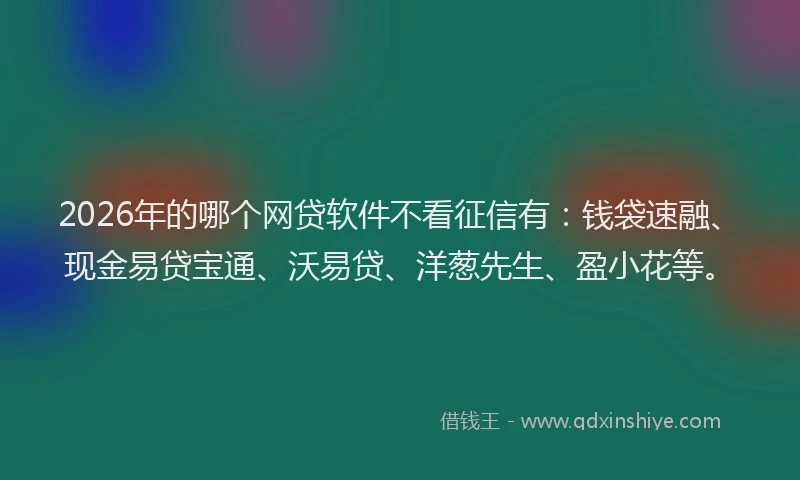2026年的哪个网贷软件不看征信有：钱袋速融、现金易贷宝通、沃易贷、洋葱先生、盈小花等。