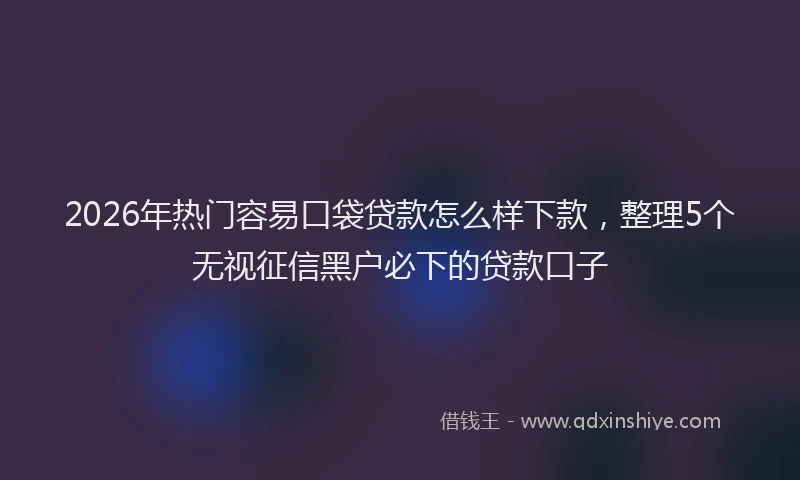 2026年热门容易口袋贷款怎么样下款，整理5个无视征信黑户必下的贷款口子