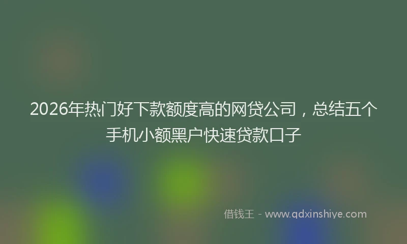 2026年热门好下款额度高的网贷公司，总结五个手机小额黑户快速贷款口子