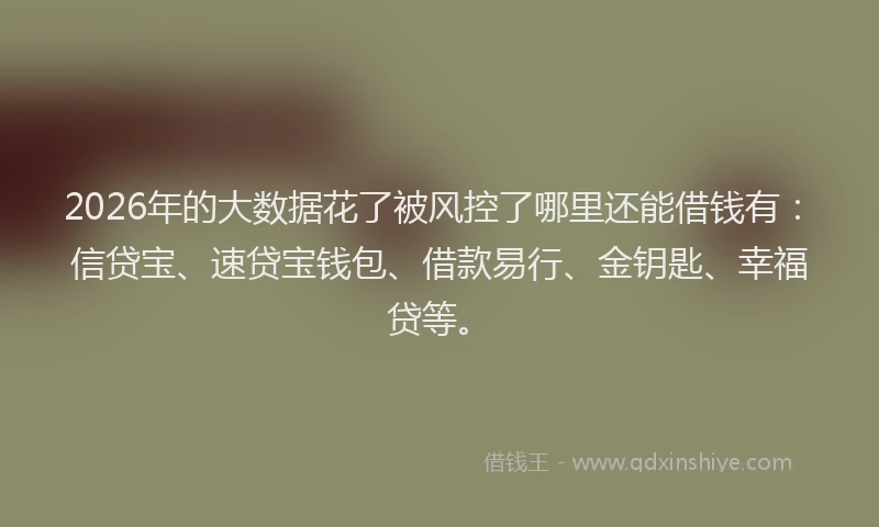 2026年的大数据花了被风控了哪里还能借钱有：信贷宝、速贷宝钱包、借款易行、金钥匙、幸福贷等。